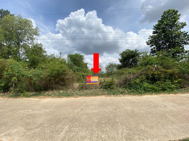 💟 ที่ดินเปล่า หนองขอน เมืองอุบลราชธานี 💟 รูปที่ 3