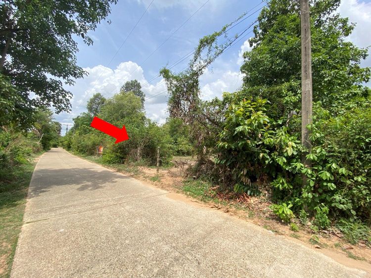💟 ที่ดินเปล่า หนองขอน เมืองอุบลราชธานี 💟 รูปที่ 4