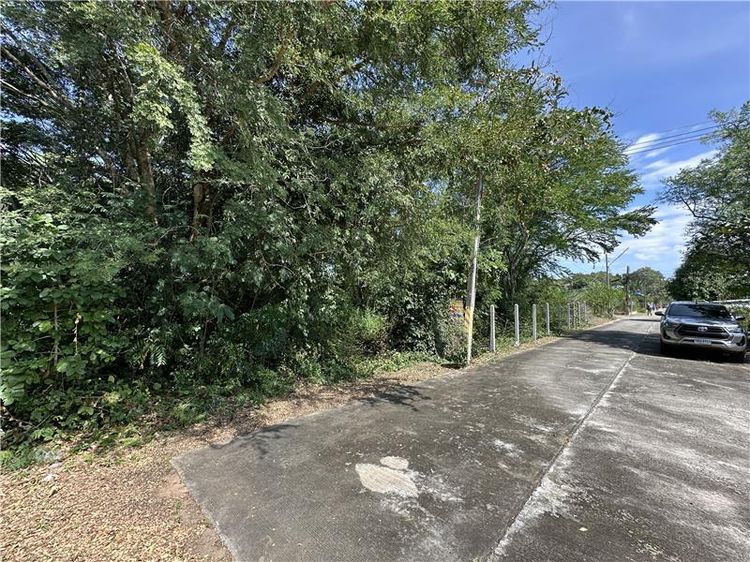 💟 ที่ดินเปล่านครราชสีมา 💟 รูปที่ 4