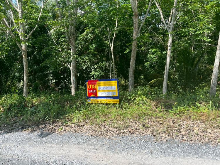 💟 ที่ดินว่างเปล่า (สวนยางพารา) ทุ่งสง นครศรีธรรมราช 💟