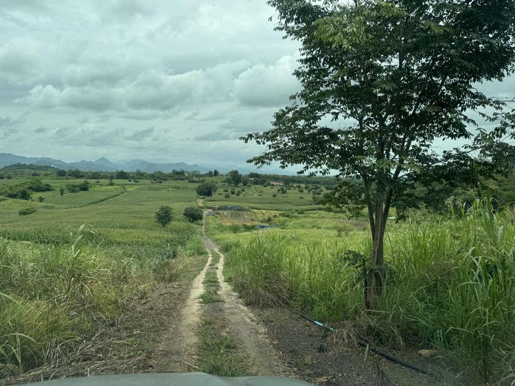 💟 ที่ดินเปล่า ในโครงการบ้านในฝัน เพชรบูรณ์ 💟 รูปที่ 4