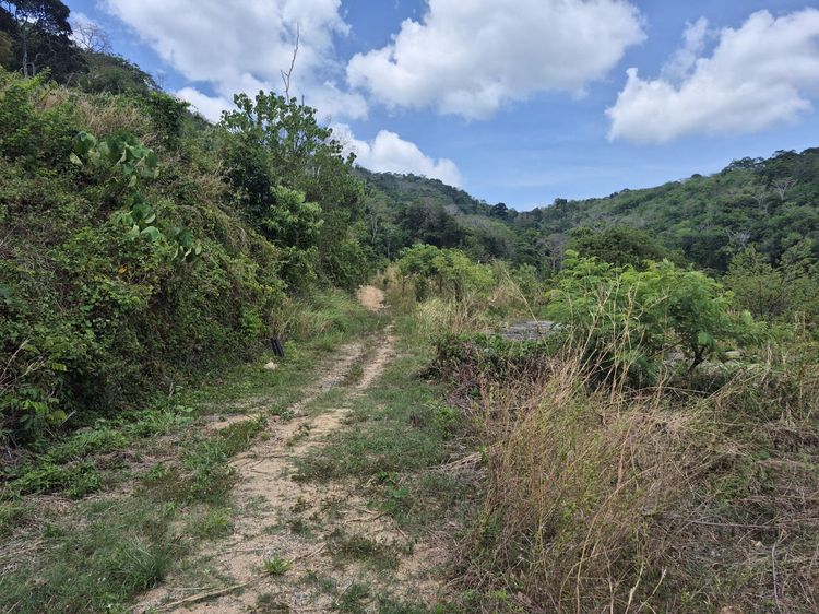 💟 ที่ดินเปล่า ภูเก็ต 💟 รูปที่ 3