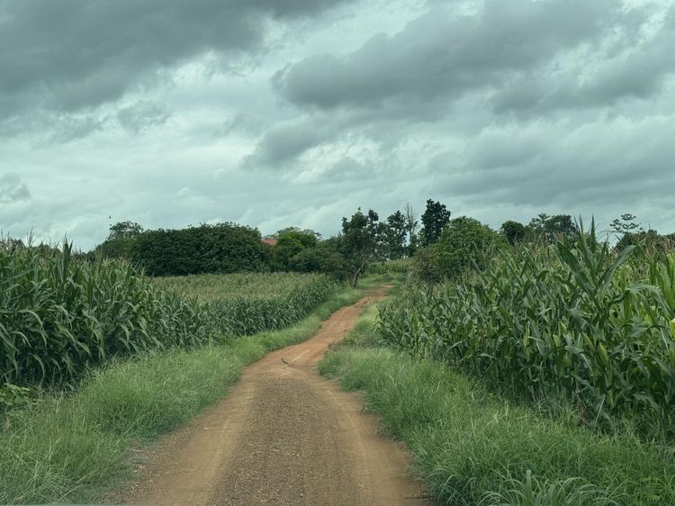 💟 ที่ดินเปล่า ในโครงการบ้านในฝัน เพชรบูรณ์ 💟 รูปที่ 3