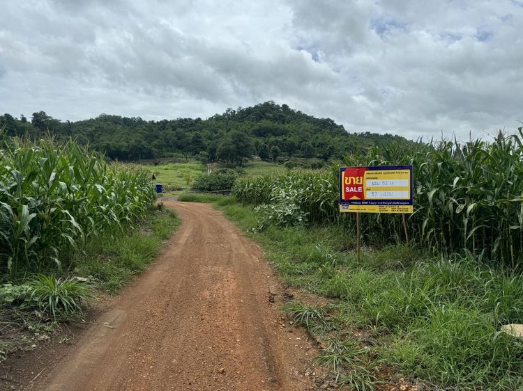 💟 ที่ดินเปล่า ในโครงการบ้านในฝัน เพชรบูรณ์ 💟