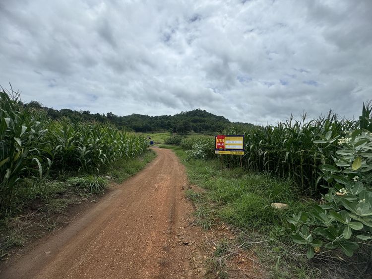 💟 ที่ดินเปล่า ในโครงการบ้านในฝัน เพชรบูรณ์ 💟 รูปที่ 2