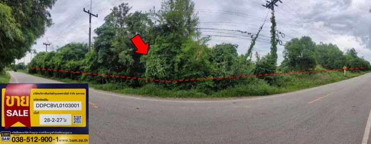 💟 ที่ดินเปล่า ปราจีนบุรี 💟