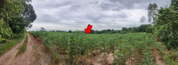 💟 ที่ดินเปล่า ปราจีนบุรี 💟 รูปที่ 2