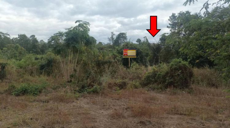 💟 ที่ดินเปล่า ใกล้ชุมชนหนองมะเกลือ 💟 รูปที่ 4