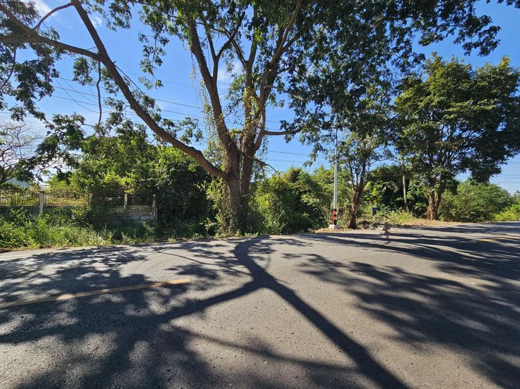 ð āļāļĩāđāļāļīāļāđāļāļĨāđāļē āļŠāđāļāļāļāļēāļ§ āļŠāļāļĨāļāļāļĢ ð āļĢāļđāļāļāļĩāđ 3