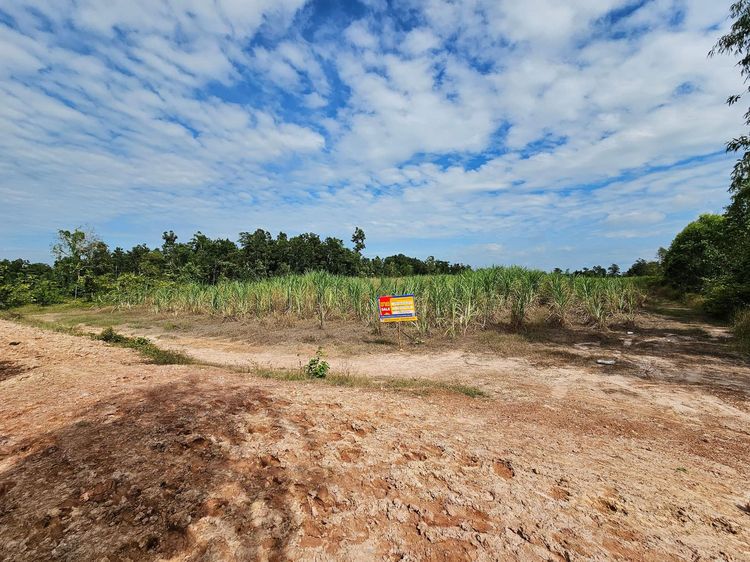 💟 ที่ดินเปล่า สกลนคร 💟