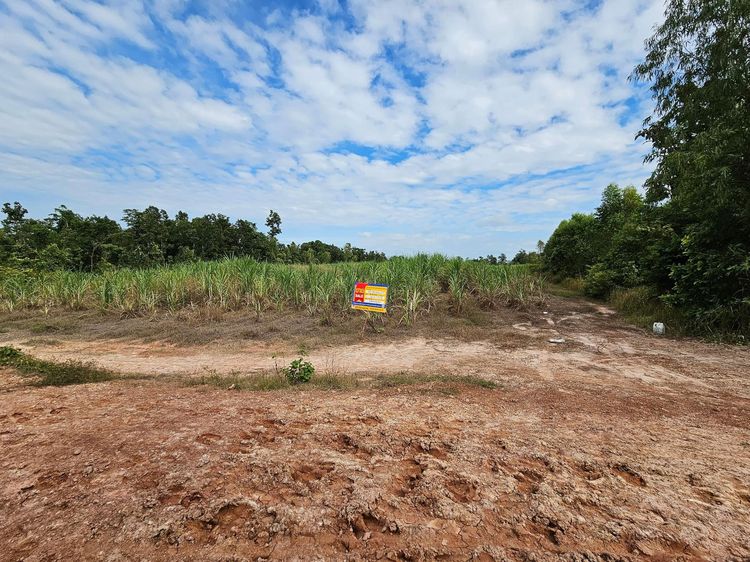 💟 ที่ดินเปล่า สกลนคร 💟 รูปที่ 3