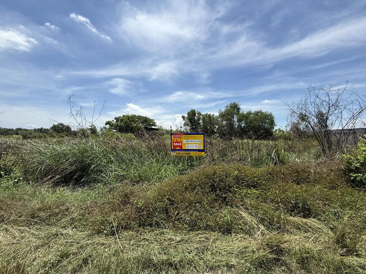 💟 ที่ดินเปล่า โครงการ"วินแอนเอฟ 2" สระบุรี 💟