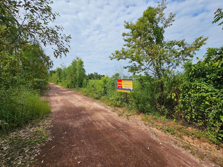 💟 ที่ดินเปล่า สกลนคร 💟