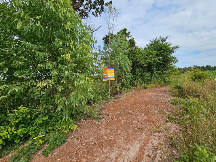 💟 ที่ดินเปล่า สกลนคร 💟 รูปที่ 3