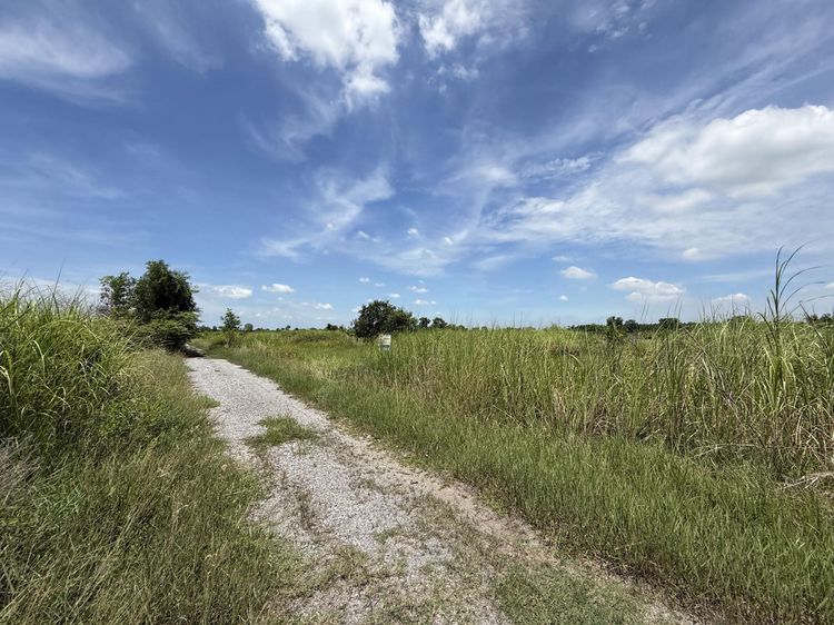 💟 ที่ดินเปล่า โครงการวินแอนด์เอฟ 2 💟 รูปที่ 3