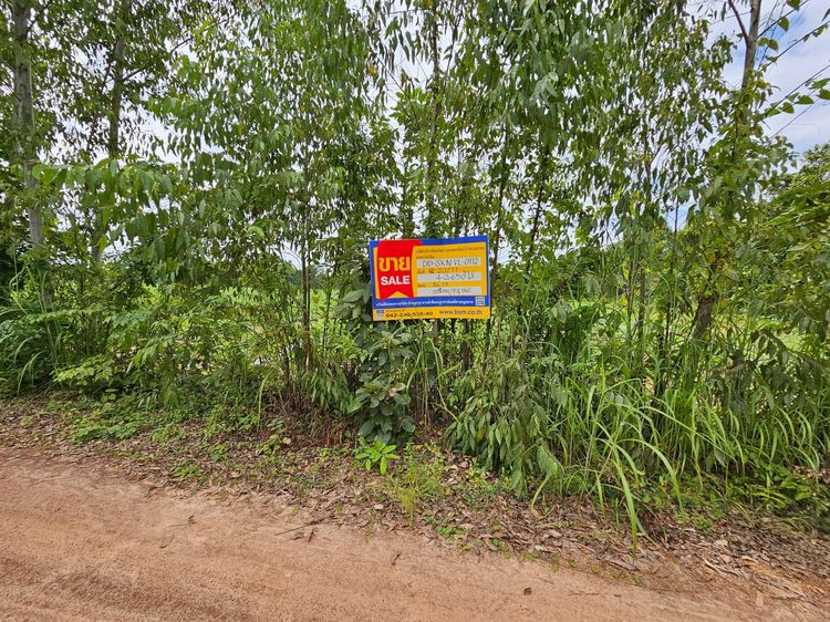 💟 ที่ดินเปล่า สกลนคร 💟 รูปที่ 4