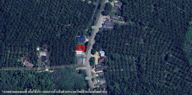 💟 ที่ดินเปล่า กระบี่ 💟 รูปที่ 2