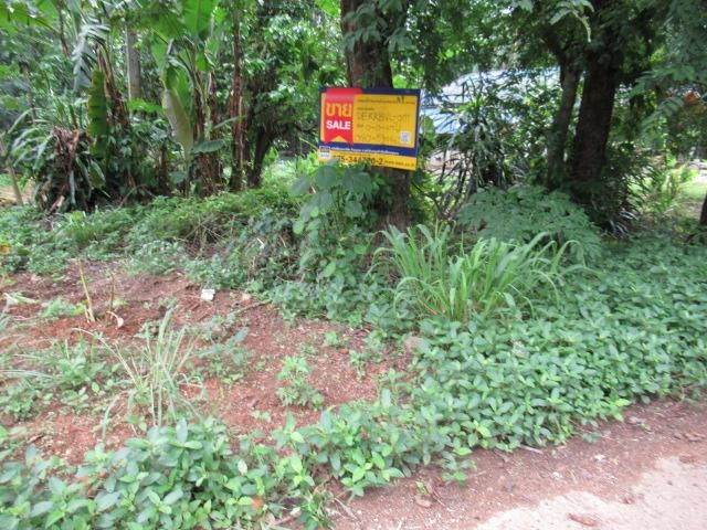 💟 ที่ดินเปล่า กระบี่ 💟