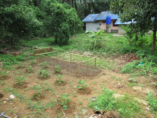 💟 ที่ดินเปล่า กระบี่ 💟 รูปที่ 4