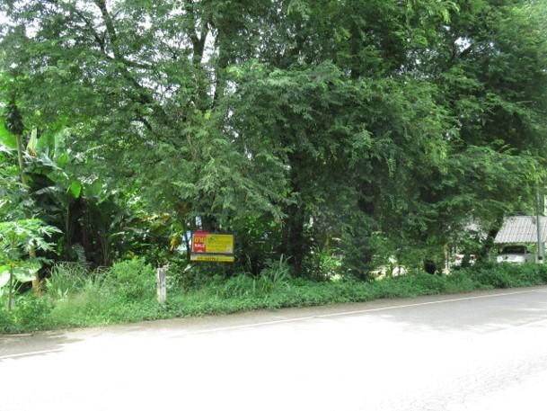 💟 ที่ดินเปล่า กระบี่ 💟 รูปที่ 3