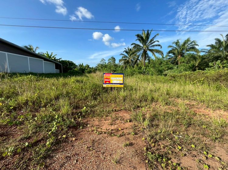 💟 ที่ดินเปล่า ติดถนนสายสี่แยกสวนปาล์ม-เคียมงาม กระบี่ 💟 รูปที่ 2