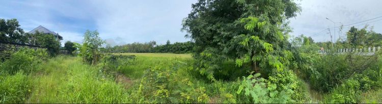 ð āļāļĩāđāļāļīāļāđāļāļĨāđāļē āļāļĢāļēāļāļĩāļāļāļļāļĢāļĩ ð āļĢāļđāļāļāļĩāđ 3