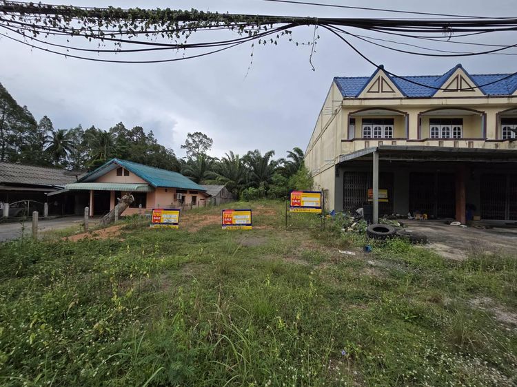 💟 ที่ดินเปล่า พัทลุง 💟 รูปที่ 4