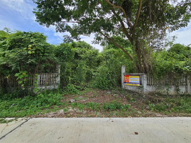 💟 ที่ดินเปล่า กำแพงเพชร 💟