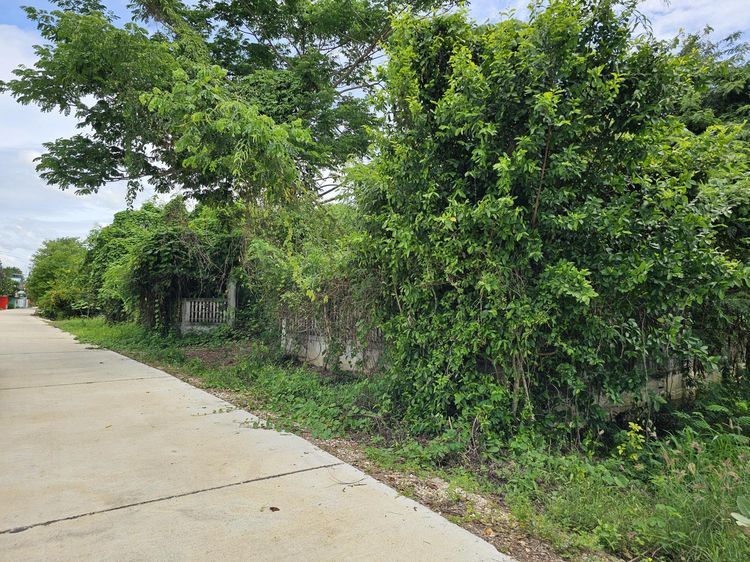 💟 ที่ดินเปล่า กำแพงเพชร 💟 รูปที่ 4