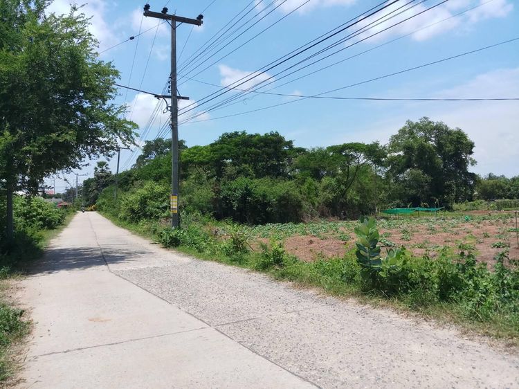 💟 ที่ดินเปล่า นครราชสีมา 💟 รูปที่ 4