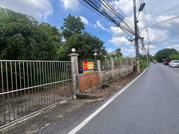 💟 ที่ดินเปล่า ติดถนนท่าลาน - คลองน้ำแล้ง (ใกล้สะพานปทุมธานี 1) 💟 รูปที่ 2
