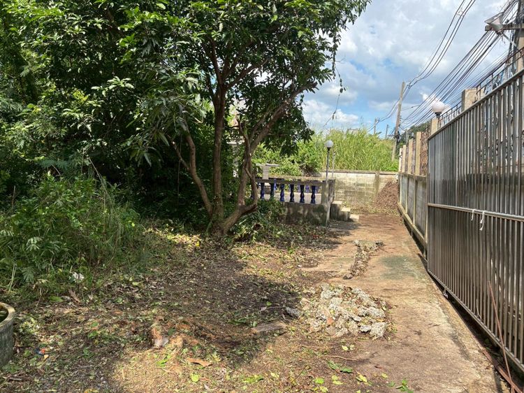 💟 ที่ดินเปล่า ติดถนนท่าลาน - คลองน้ำแล้ง (ใกล้สะพานปทุมธานี 1) 💟 รูปที่ 4