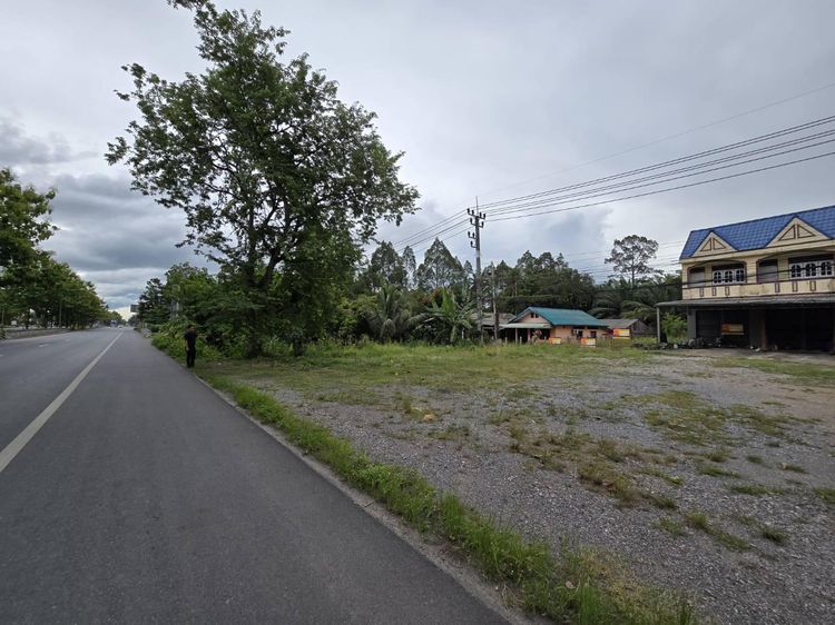 💟 ที่ดินเปล่า พัทลุง 💟 รูปที่ 4