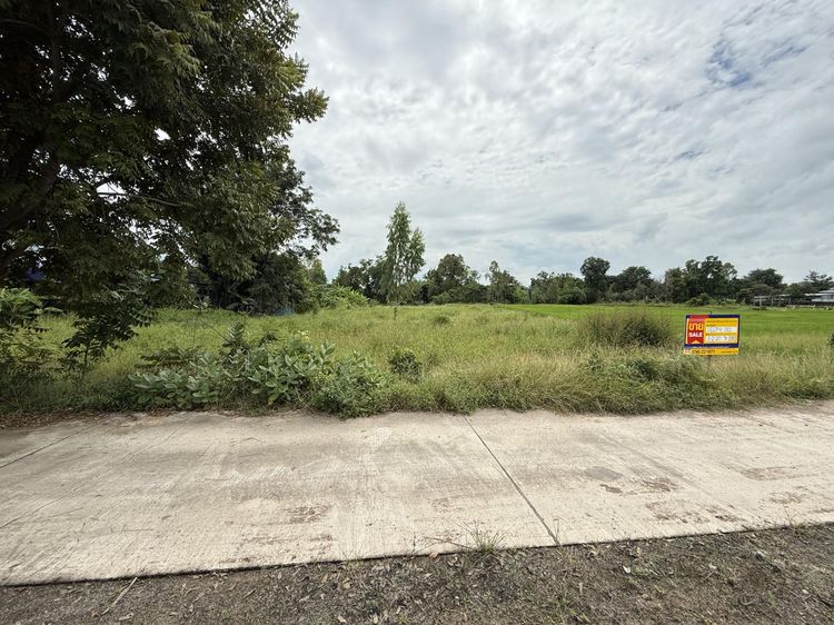 💟 ที่ดินเปล่า ลพบุรี 💟 รูปที่ 3