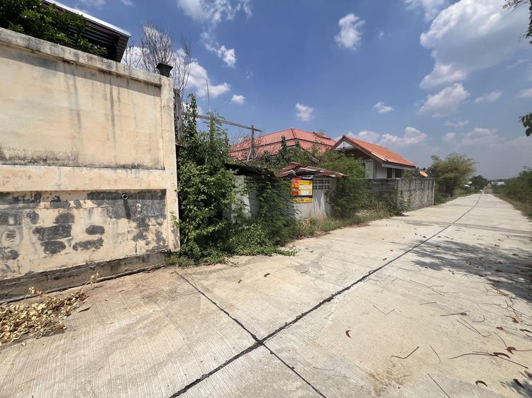 💟 ที่ดินเปล่า ซอยโรงเจไต่เซี้ยฮุดโจ้ว ชัยนารายณ์ 💟 รูปที่ 3