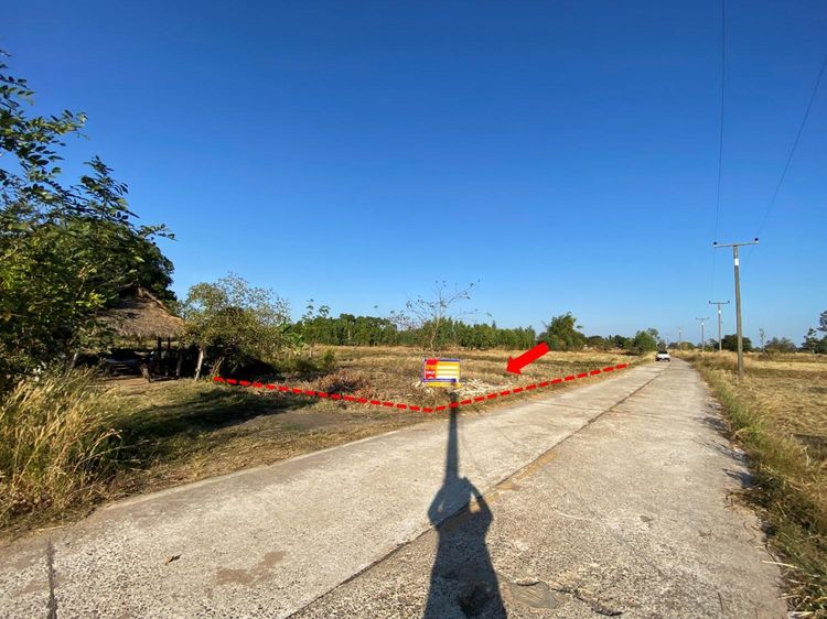 💟 ที่ดินเปล่า (ที่นา) 💟 รูปที่ 3