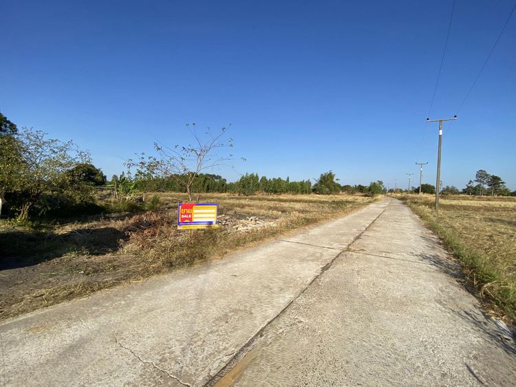 💟 ที่ดินเปล่า (ที่นา) 💟