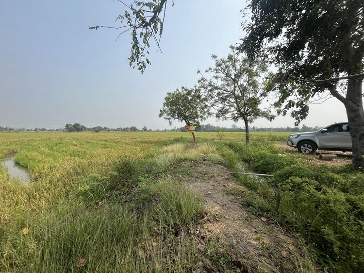 💟 ที่ดินเกษตรกรรม สุพรรณบุรี 💟 รูปที่ 3