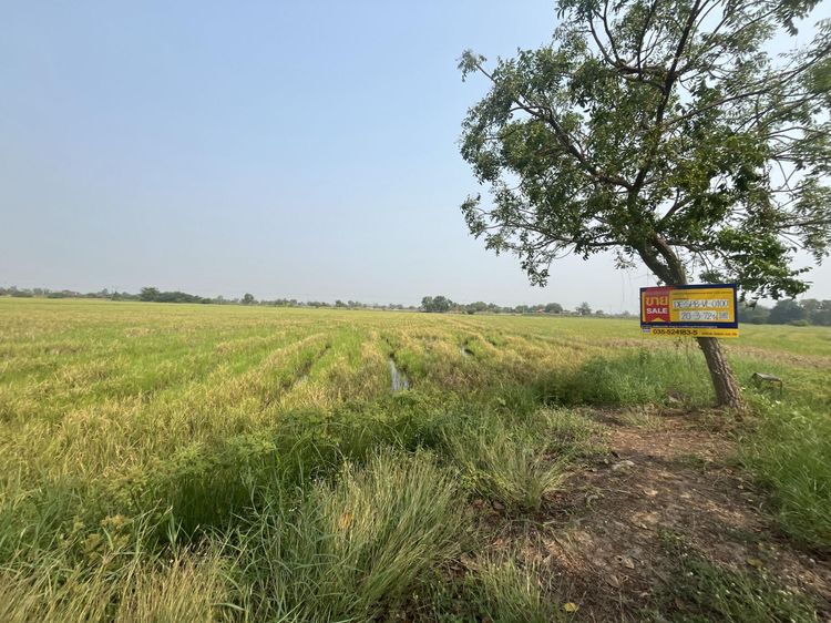 💟 ที่ดินเกษตรกรรม สุพรรณบุรี 💟 รูปที่ 4