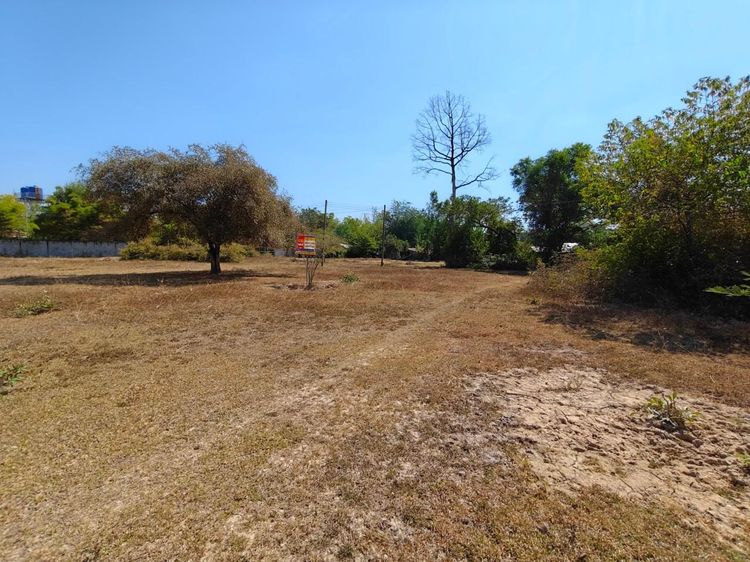 💟 ที่ดินเปล่า โครงการพฤกษาพาร์ควิลล์ ร้อยเอ็ด 💟