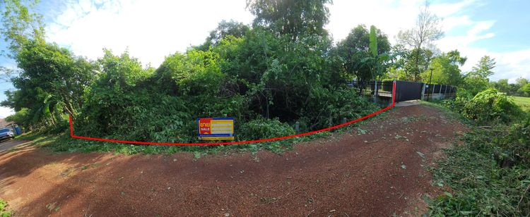 💟 ที่ดินเปล่า สกลนคร 💟 รูปที่ 3