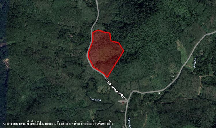 💟 ที่ดินเปล่า ตรัง 💟 รูปที่ 2