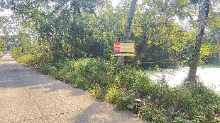 💟 ที่ดินเปล่า พะเยา 💟 รูปที่ 2