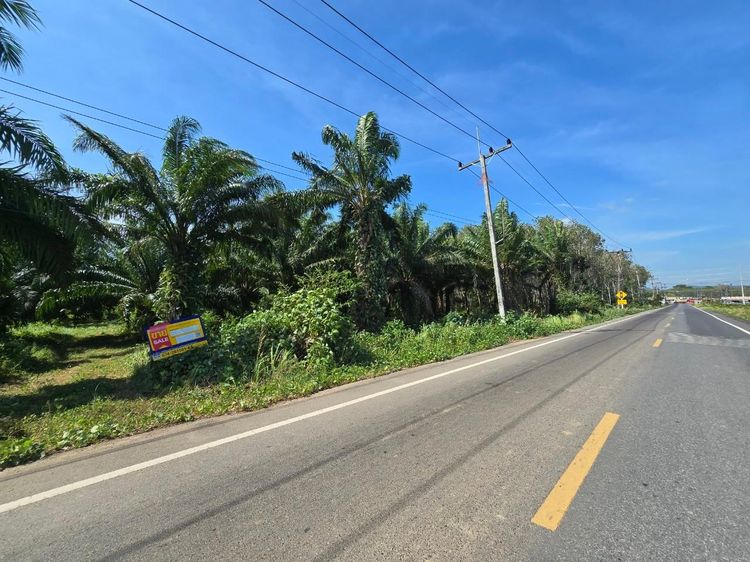 💟 ที่ดินเปล่า สตูล 💟