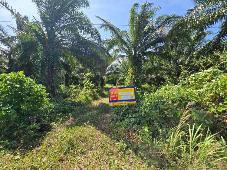 💟 ที่ดินเปล่า สตูล 💟 รูปที่ 2