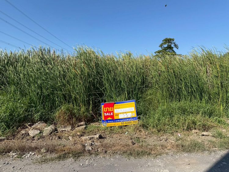 💟 ที่ดินเปล่า ซอยเลียบารี 59 💟