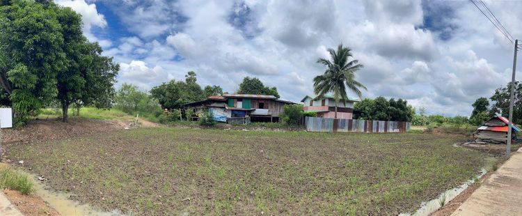 💟 ที่ดินเปล่า พิจิตร 💟 รูปที่ 3