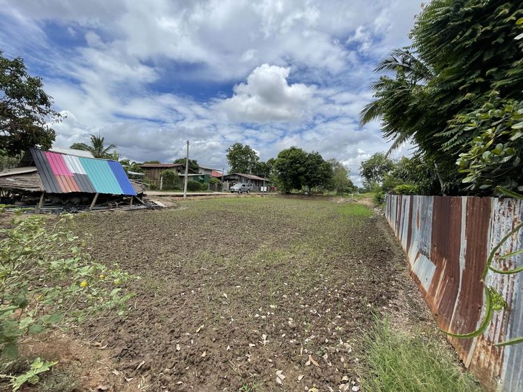 💟 ที่ดินเปล่า พิจิตร 💟 รูปที่ 4