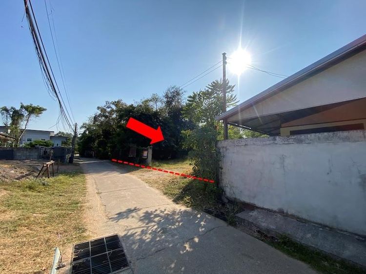 💟 ที่ดินเปล่า อุบลราชธานี 💟 รูปที่ 3