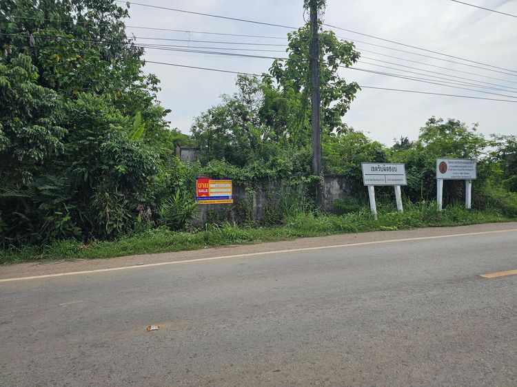 💟 ที่ดินเปล่า บ้านท่าลี อุดรธานี 💟 รูปที่ 3